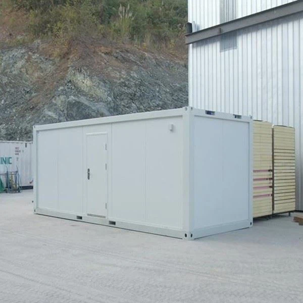 Luxury Container House